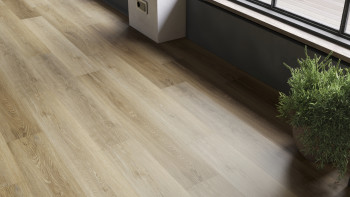 planeo Vinile rigido a incastro - SMARTline Rovere grigio chiaro | Isolamento acustico integrato (NF-SL-584)
