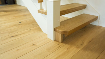 planeo Parquet - COUNTRY Quercia europea (PU-000150-N)