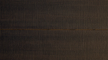 planeo TitanBoard HPL Black Ale decking