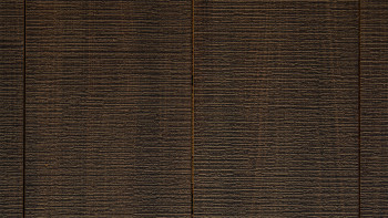 planeo TitanBoard HPL Black Ale decking