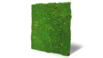 pannello acustico planeo - MixWall Moss Mood Light Green Fibre 52 x 52 cm | Art Moss (PLMW-10211C)