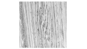 pannello acustico planeo - MixWall Mineral Mood Polar Marble 52 x 52 cm | pietra vera (PLMW-10411C)