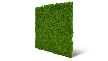 pannello acustico planeo - MixWall Living Moss Bright Green 52 x 52 cm | muschio naturale (PLMW-20111)