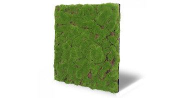 pannello acustico planeo - MixWall Moss Mood Forest Green Bulk 52 x 52 cm | Art Moss (PLMW-20211C)