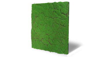 pannello acustico planeo - MixWall Moss Mood Forest Green 52 x 52 cm | muschio artificiale (PLMW-30121A)