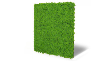 pannello acustico planeo - MixWall Moss Mood Lime Green 52 x 52 cm | muschio artificiale (PLMW-30211C)