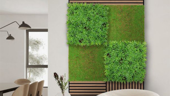 pannello acustico planeo - MixWall Living Leaf Podocarpus Tea Tree 52 x 52 cm | pianta naturale (PLMW-40111)