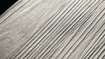 Project Floors Vinile adesivo - floors@home30 30 PW 3880 (PW388030)