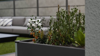 planeo BPC letto rialzato Cube - Antracite | DB703 70 x 70 x 75 cm