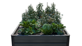 planeo BPC-Rhombus letto rialzato rettangolo - grigio pietra co-ex. 150 x 70 x 79 cm