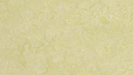 Forbo Linoleum Marmoleum - Verde reale benessere 3881 2,5