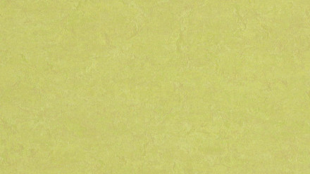 Forbo Linoleum Marmoleum - Fresco boccioli di primavera 3885