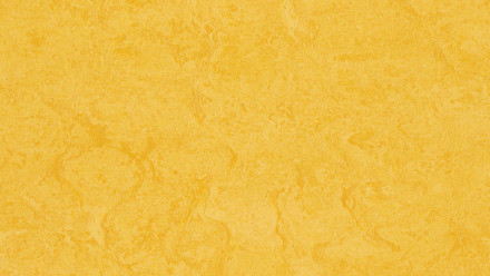 Forbo Linoleum Marmoleum - Fresco scorza di limone 3251 2,5
