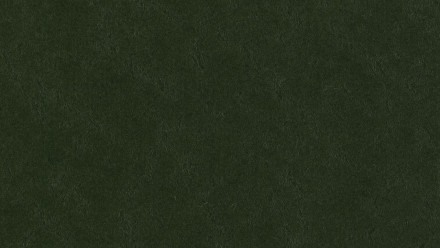 Forbo Linoleum Marmoleum - Walton verde bottiglia 3359