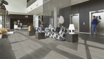 Forbo Allura Wood 55 vinile adesivo - Legno grigio (63408DR5)