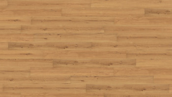 Wicanders pavimento in sughero - Essenza del legno Rovere Primo dorato 11,5mm sughero - NPC sigillato