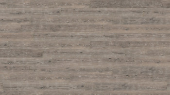 Wicanders pavimento in sughero - Essenza di legno lavato rovere del castello di quercia 11,5 mm sughero - NPC sigillato