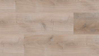Skaben Vinile ad incastro - ProfiKlick Rovere dorato bianco | goffratura sincrona (SP-6200193)