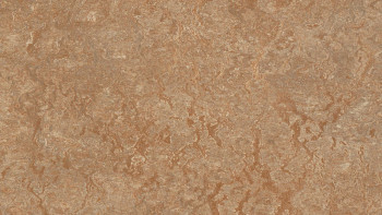 Forbo Linoleum Marmoleum Real - shitake 3233