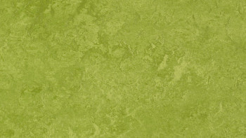 Forbo Linoleum Marmoleum - Fresco verde 3247