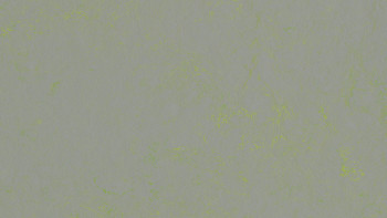 Forbo Linoleum Marmoleum - Verde cemento shimmer 3736