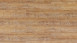 Wicanders Vinile multistrato - wood Hydrocork Arcadian Rye Pine (80002767)