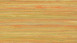 Forbo Linoleum Marmoleum - Striato Colore giallo sole 5241